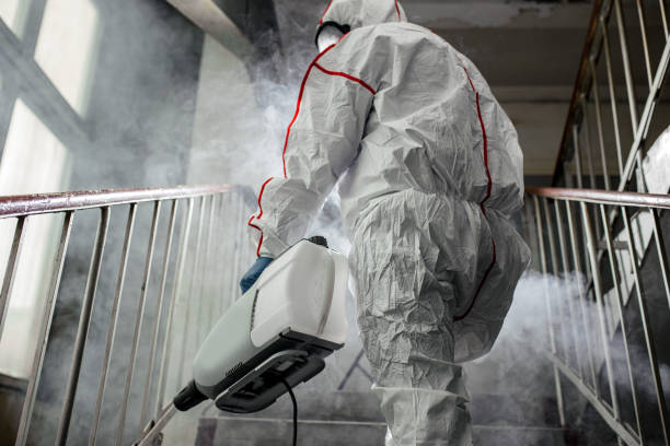 Why You Should Choose Our Mold Remediation Services in Tsaile, AZ